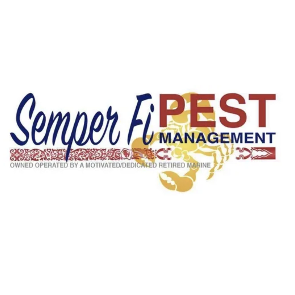 Semper Fi Pest | SYN Card Club