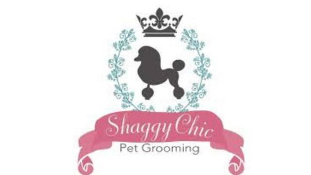 Shaggy Chic Pet Grooming | SYN Card Club